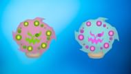 Regular and shiny Spiritomb (Image via TPC)